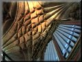 The Organ of
Plasencia's Cathedral
