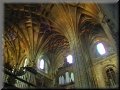 The Organ of
Plasencia's Cathedral